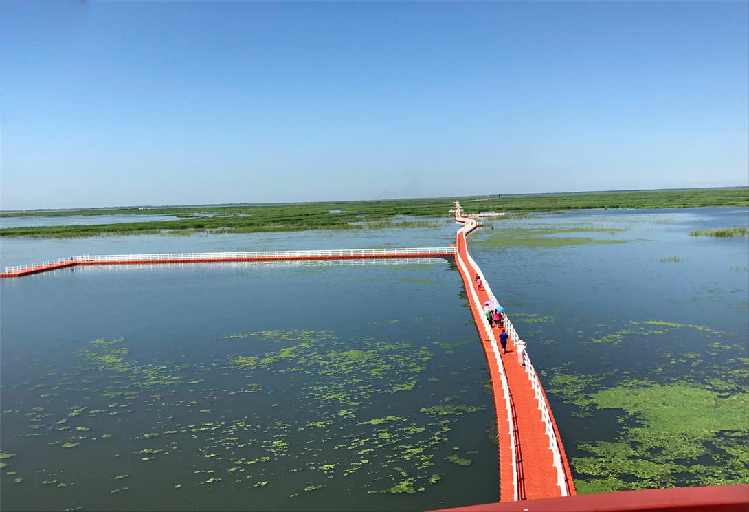 黑龙江北大荒雁窝岛湿地公园2000米大型浮桥