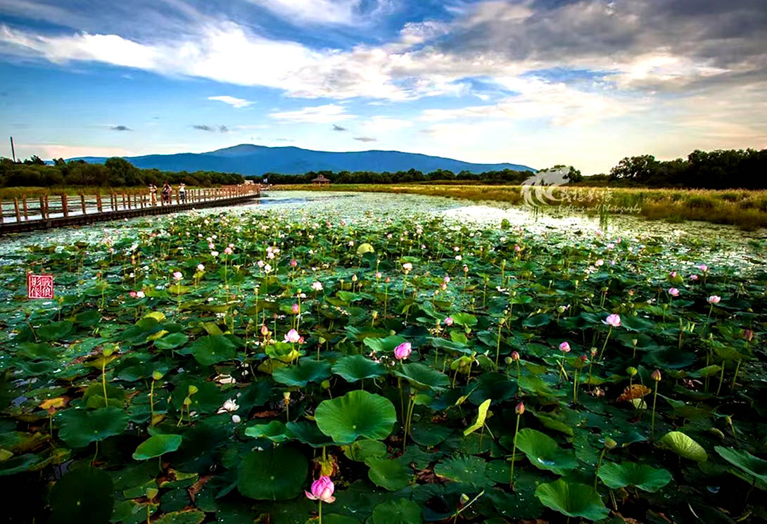 黑龙江抚远黑瞎子岛湿地公园（中俄交界）